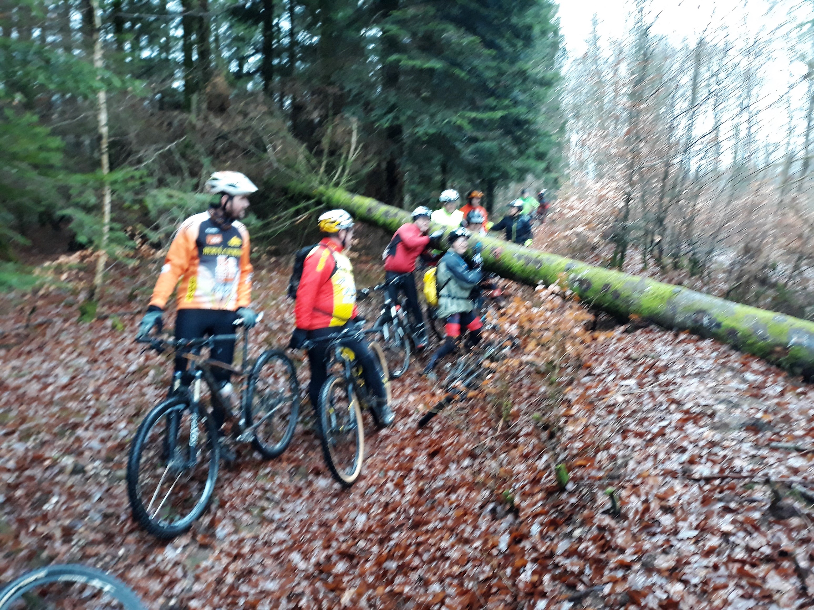 Sortie dimanche 23 dcembre 2018 (1)