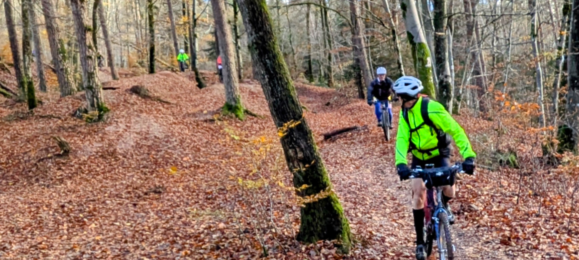 Sortie mercredi 20 novembre 2024 (8)