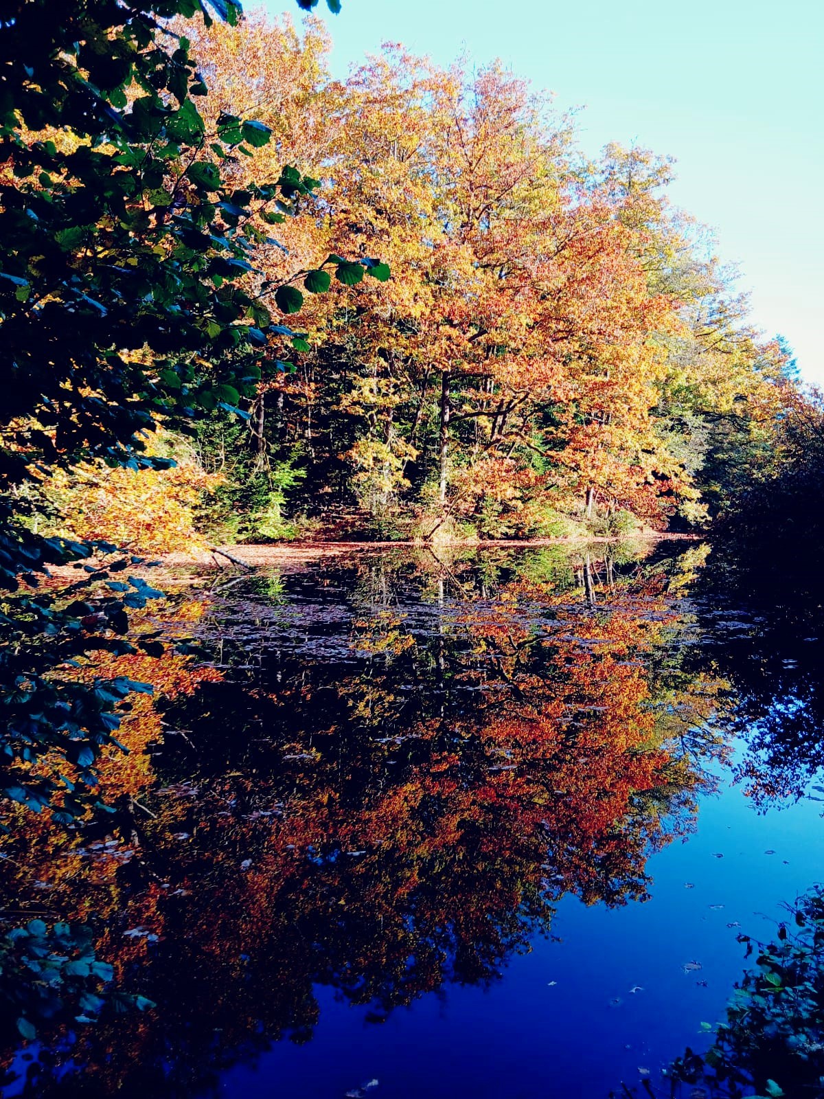 Sortie mercredi 15 octobre 2025 (1)