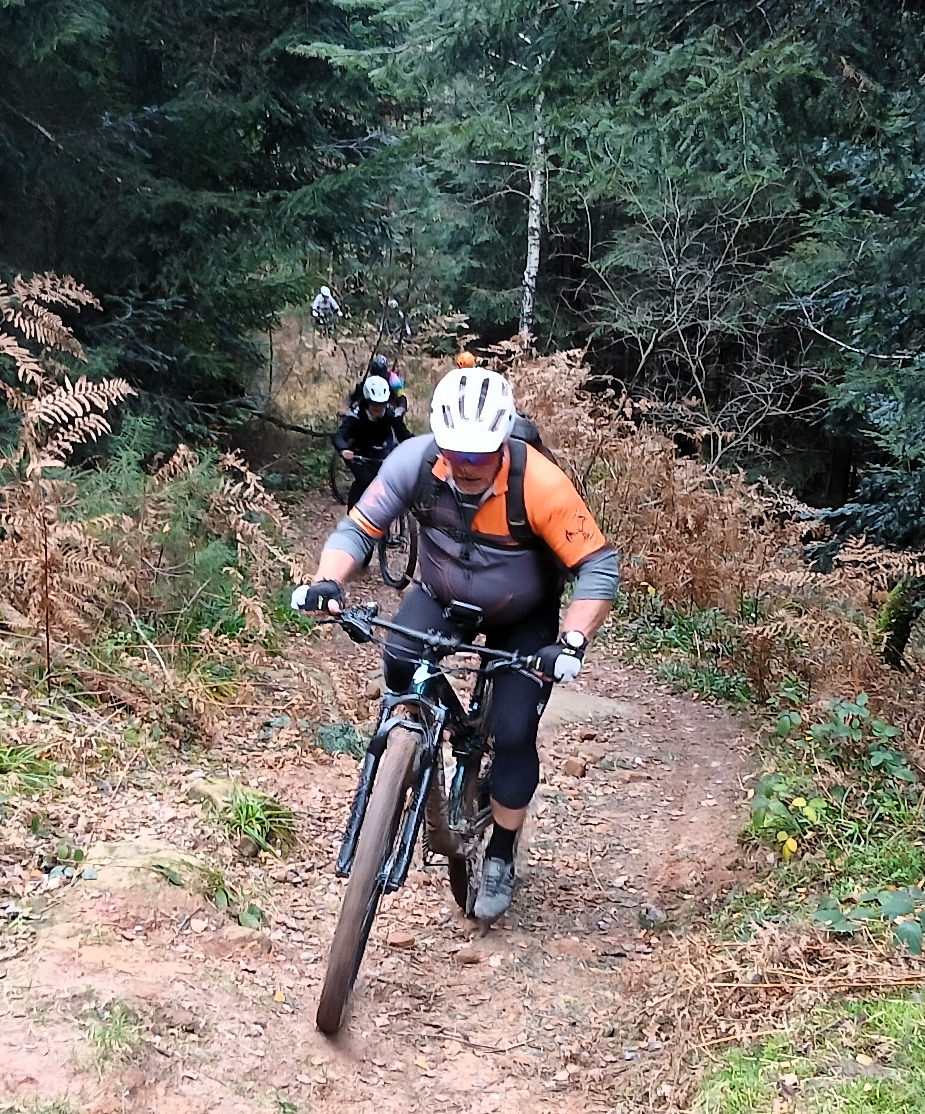 Sortie mercredi 12 novembre 2025 (2)