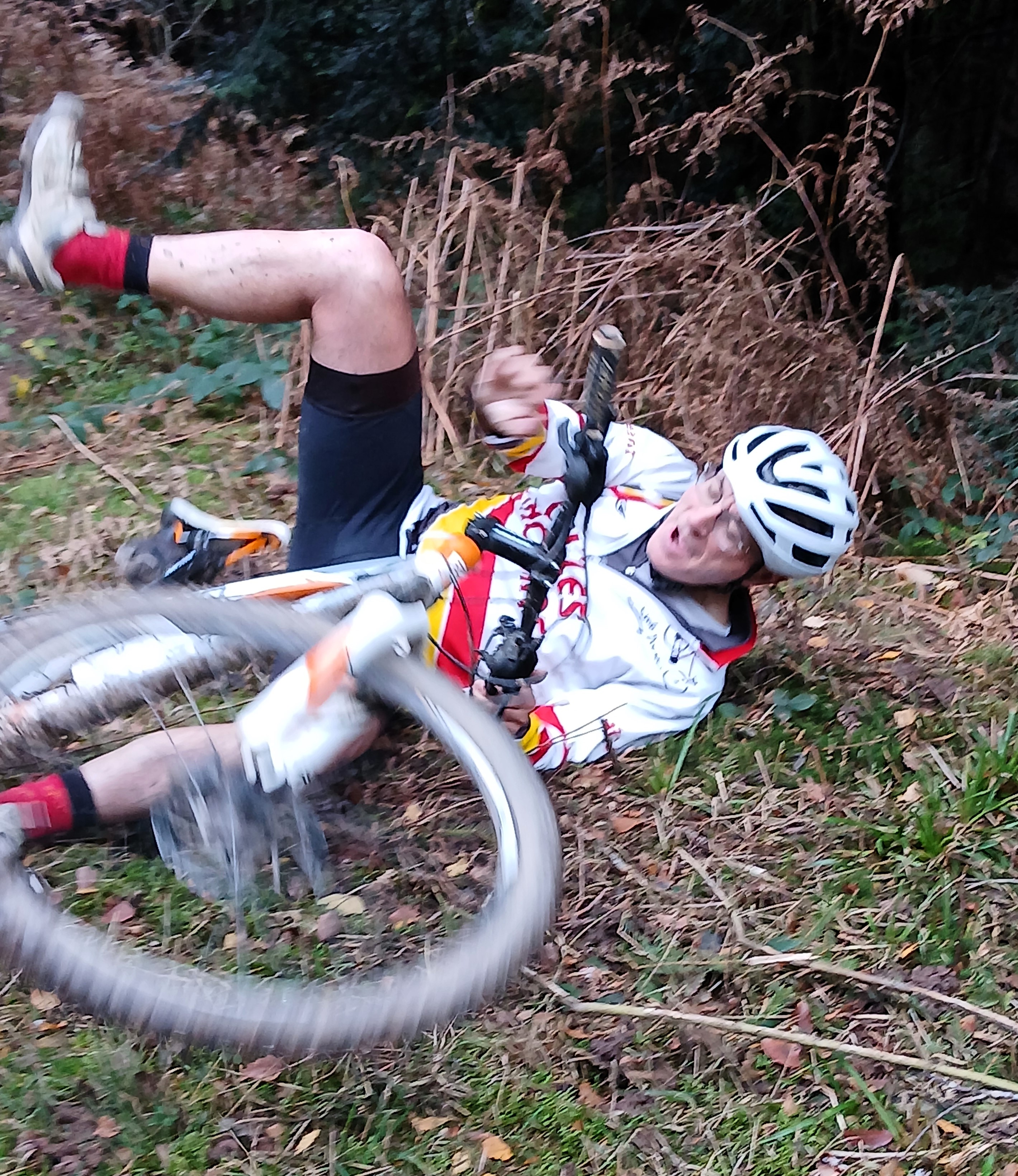 Sortie mercredi 12 novembre 2025 (5)