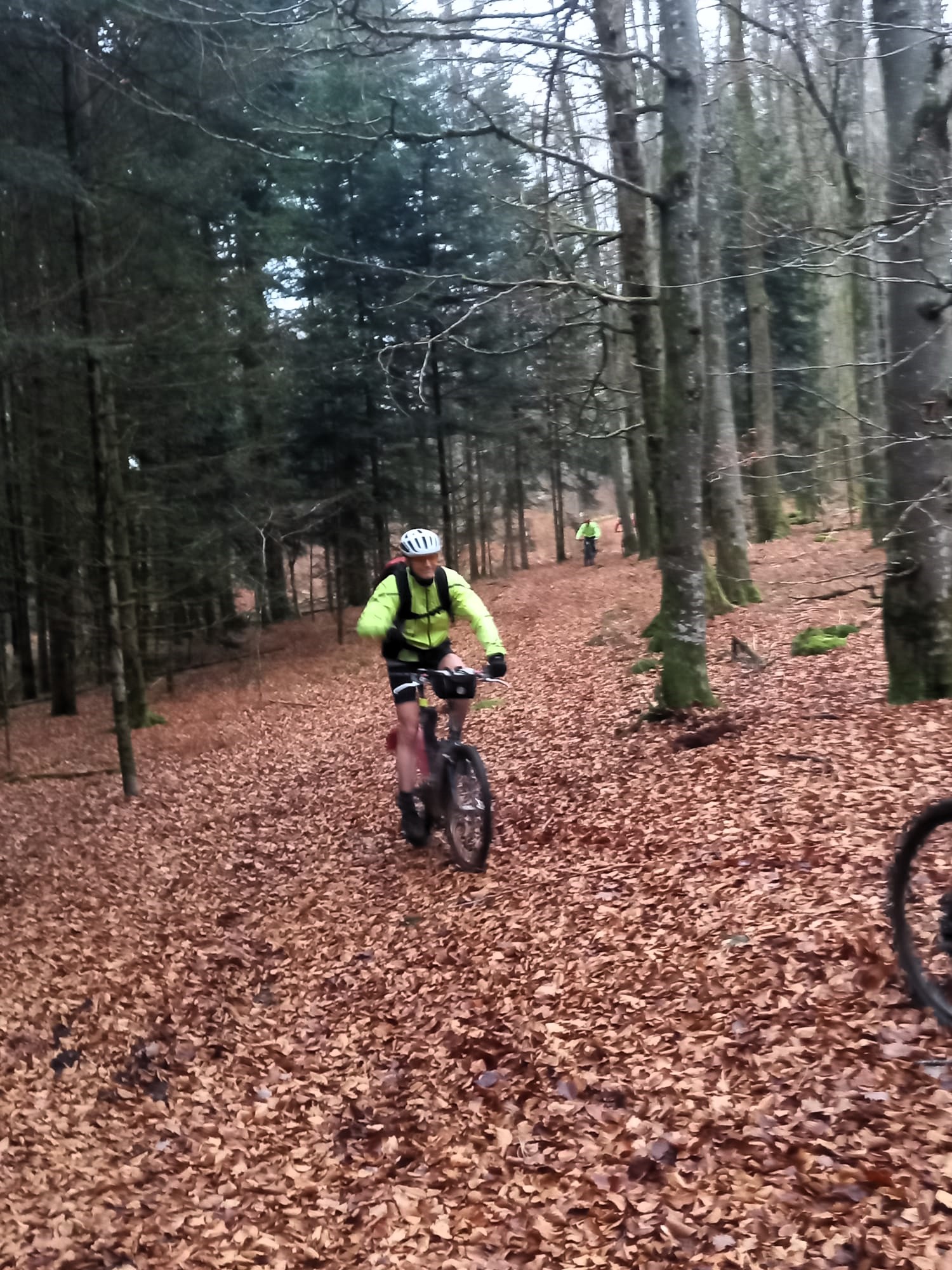 Sortie mercredi 10 décembre 2025 (6)