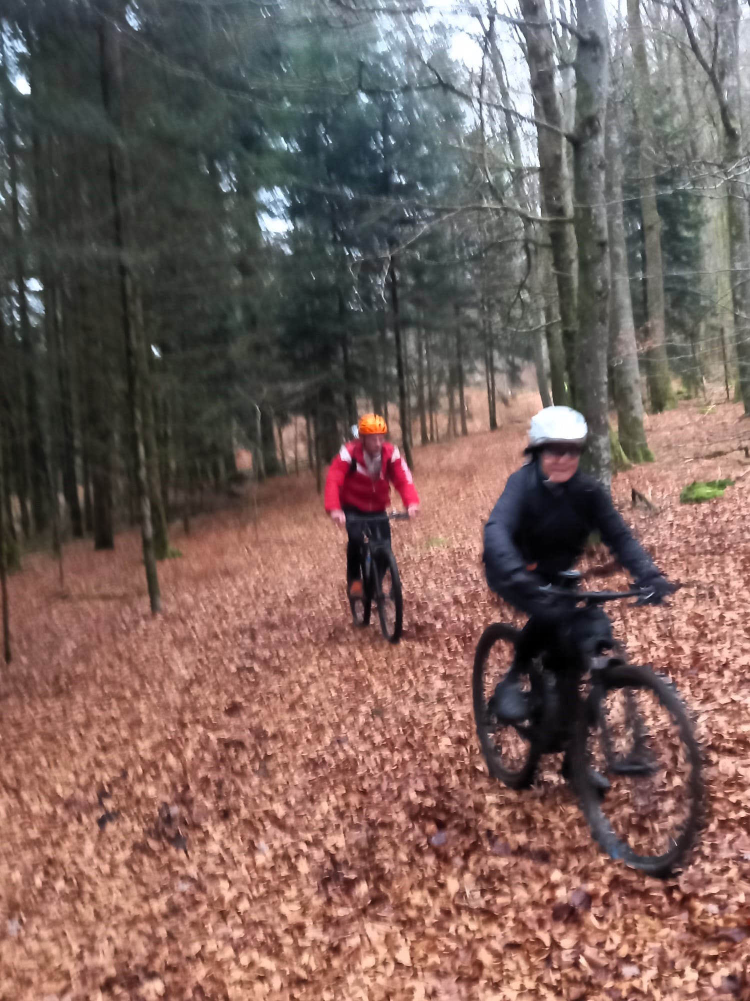 Sortie mercredi 10 décembre 2025 (7)