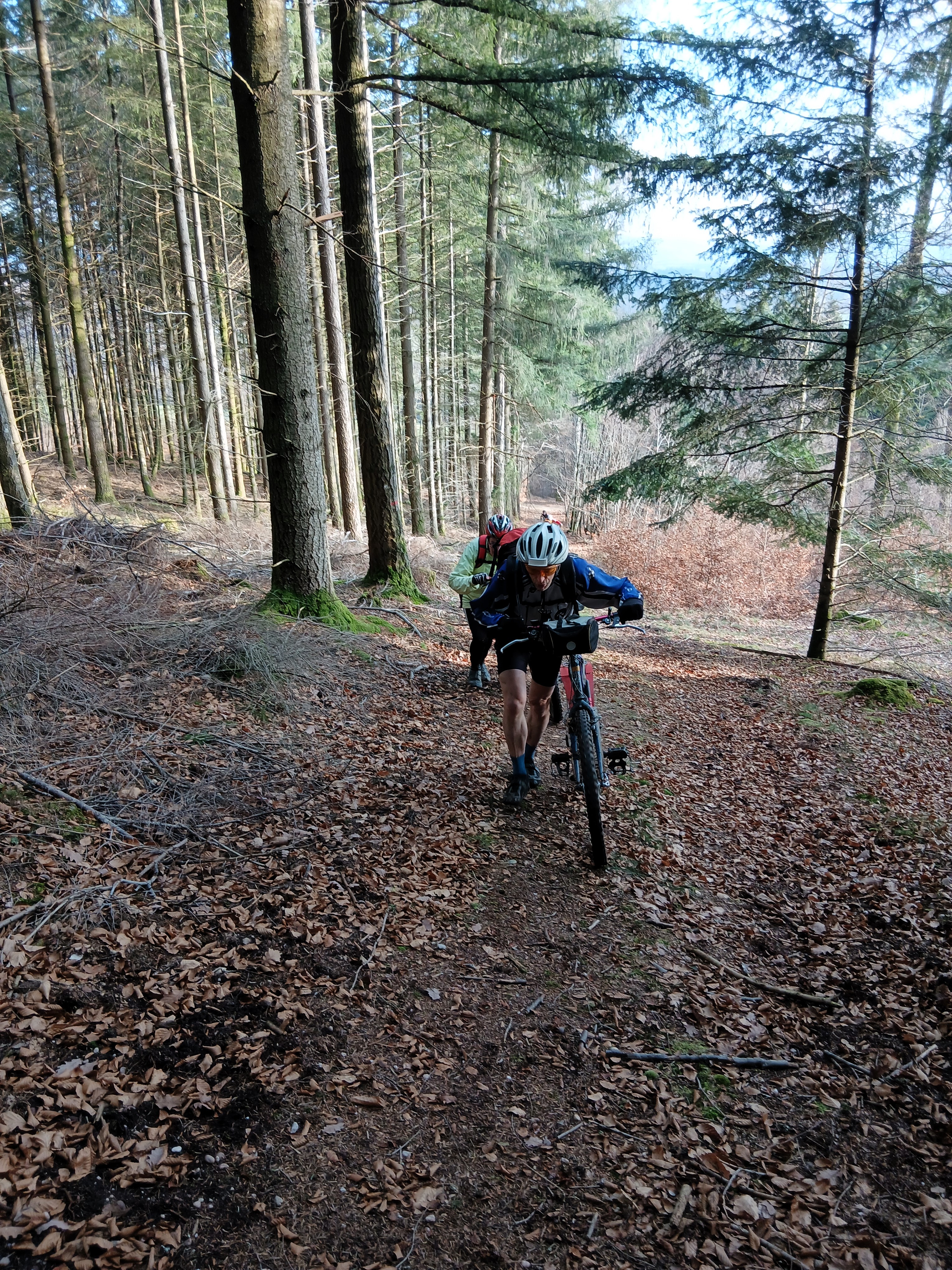 Sortie mercredi 17 d�cembre 2025 (2)