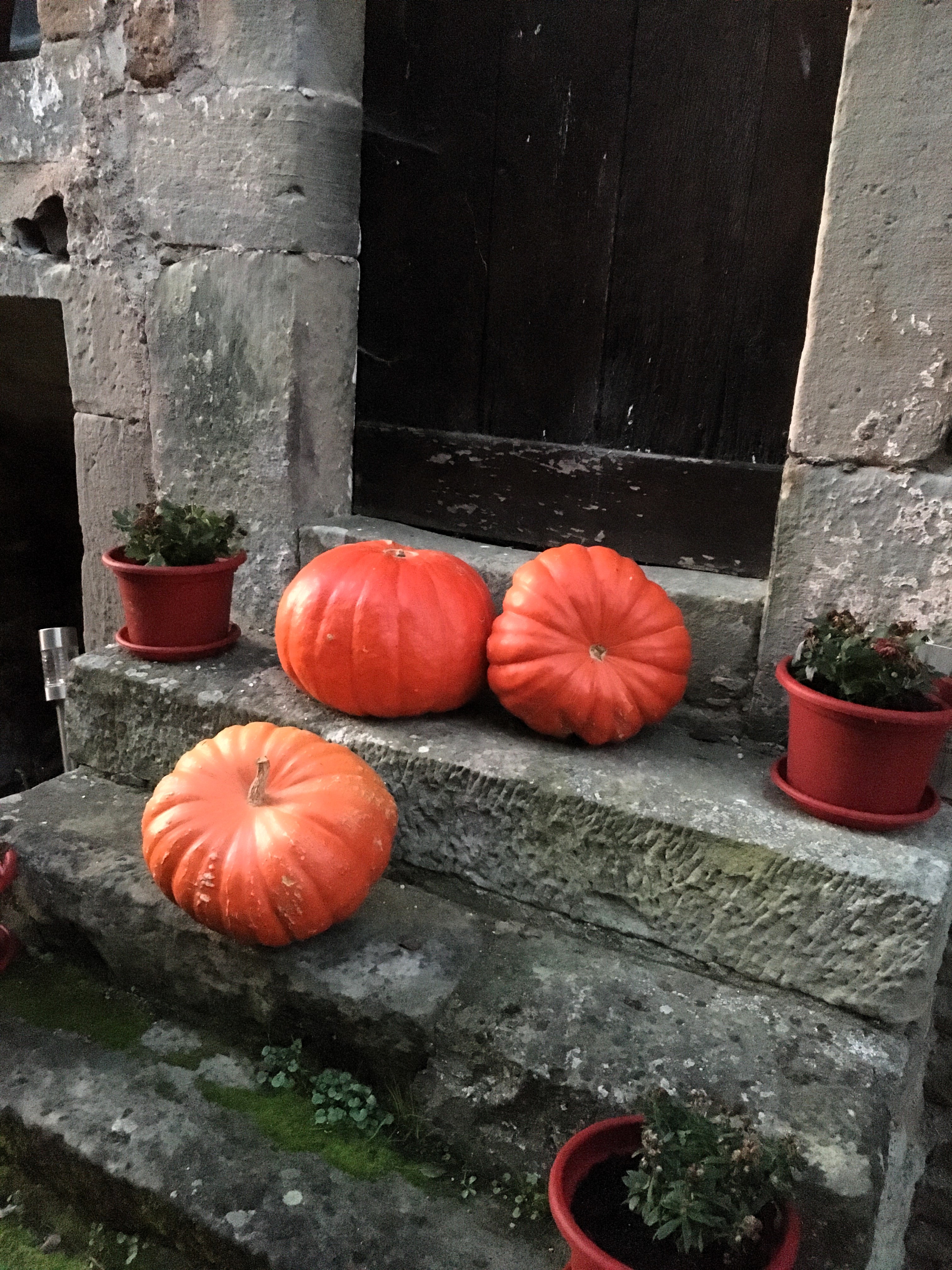 Automnale 2025 samedi 18 octobre (3)