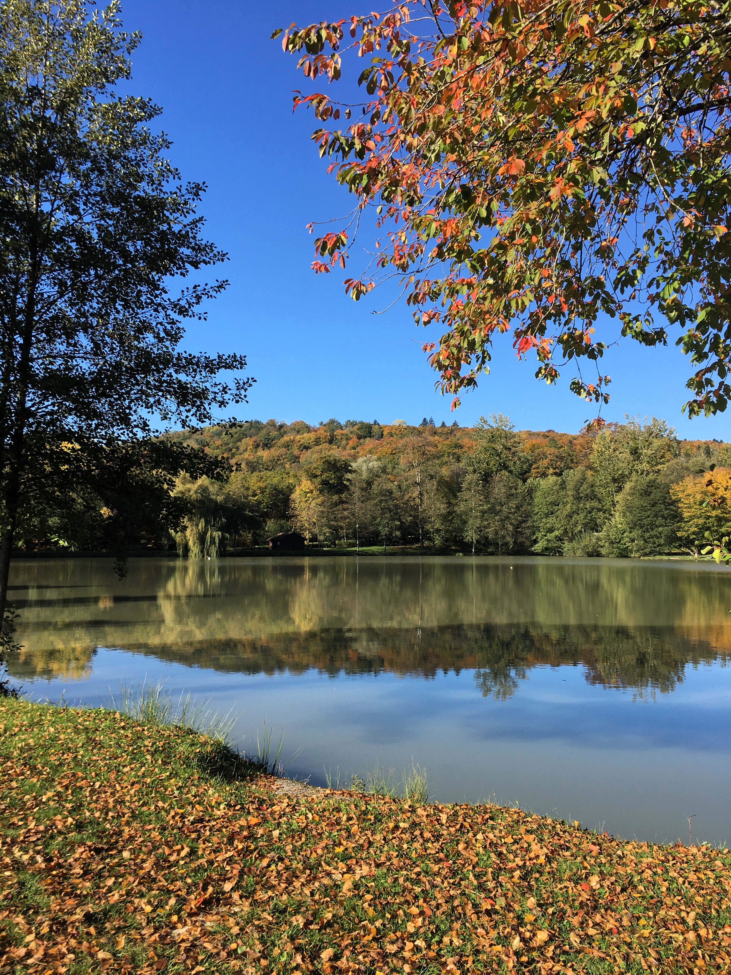 Automnale 2025 samedi 18 octobre (4)