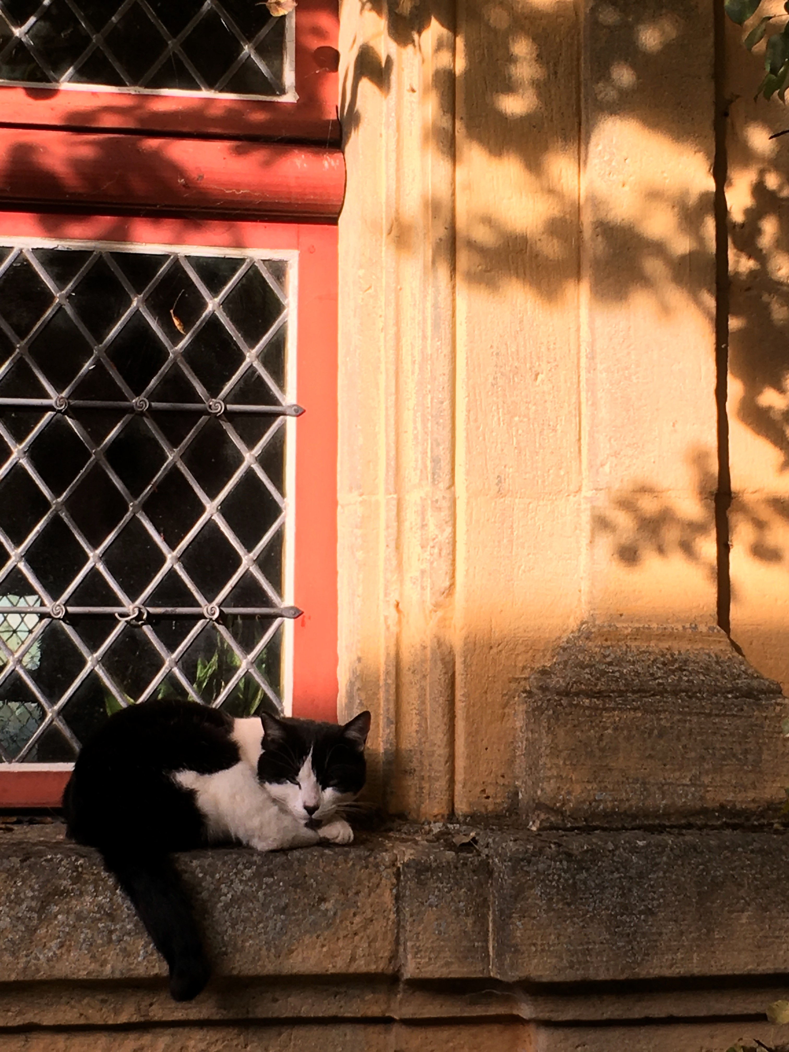 Automnale 2025 samedi 18 octobre (7)