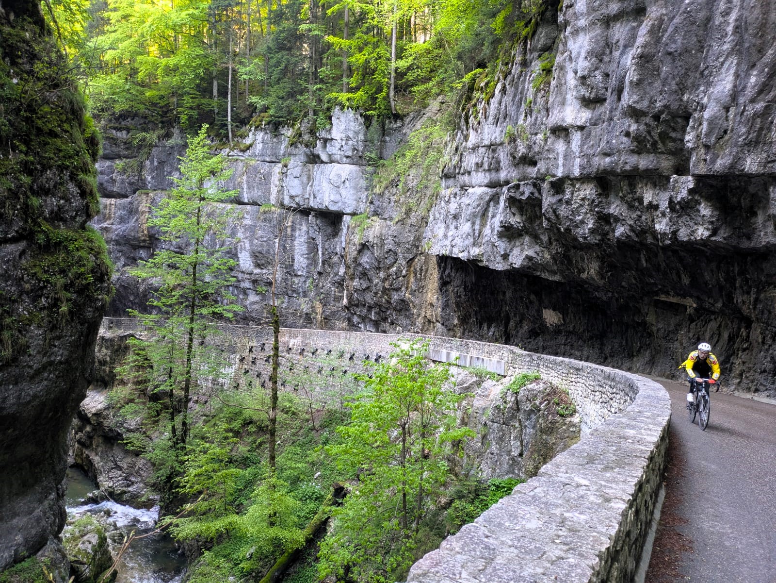 2025 Vercors mercredi 14 mai (66)