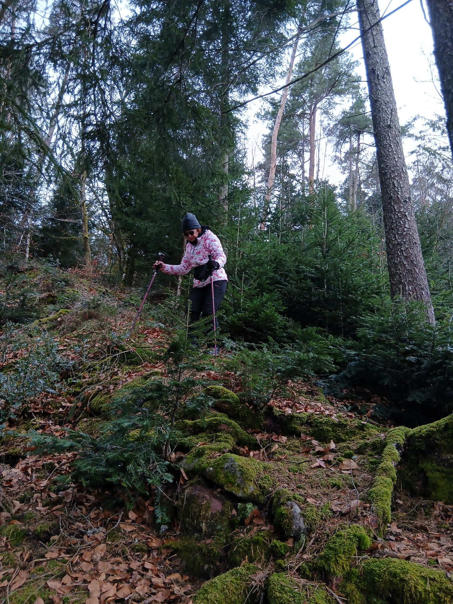 Sortie mercredi 14 janvier 2025 (1)