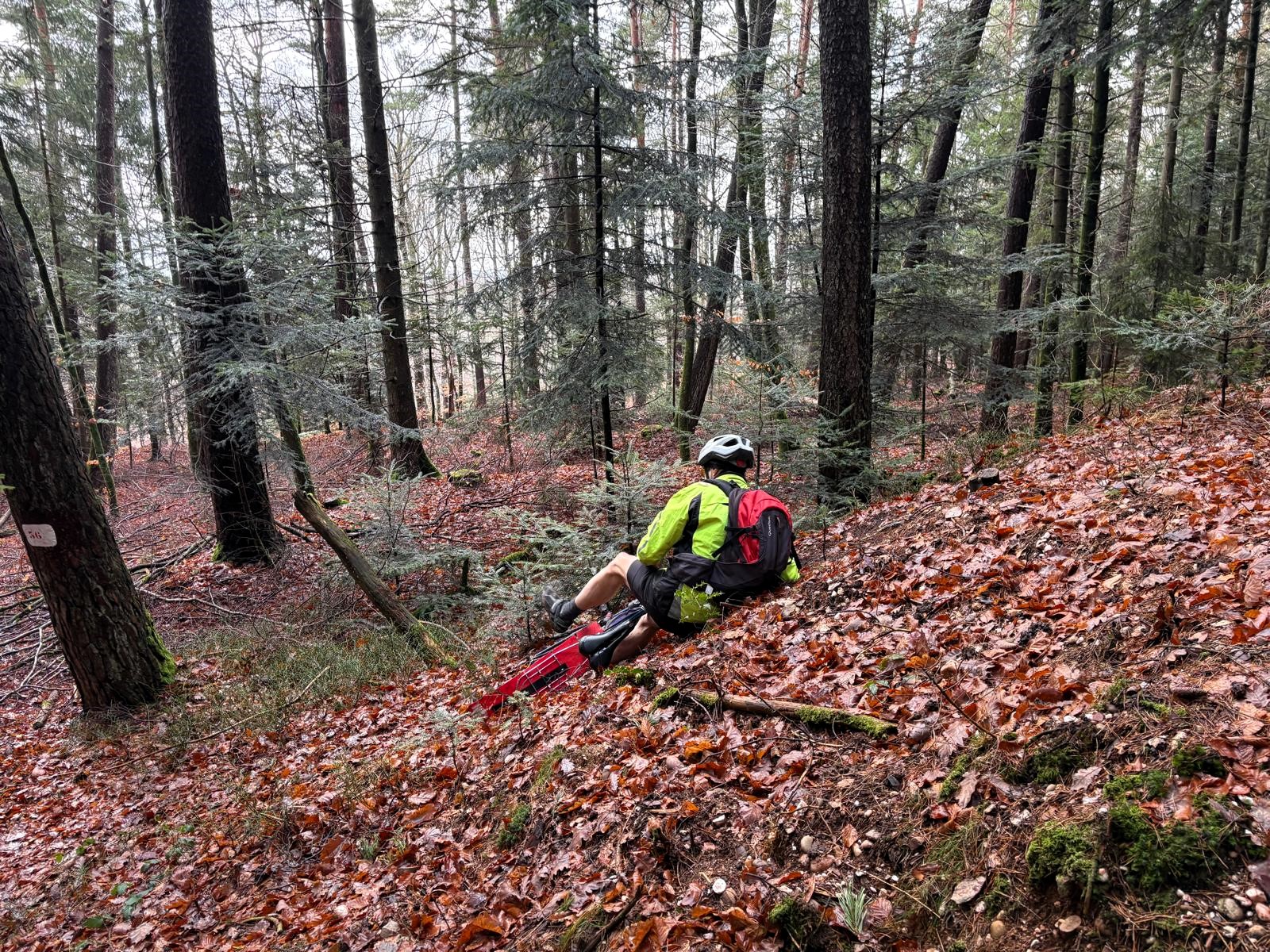 Sortie jeudi 29 janvier 2026 (7)