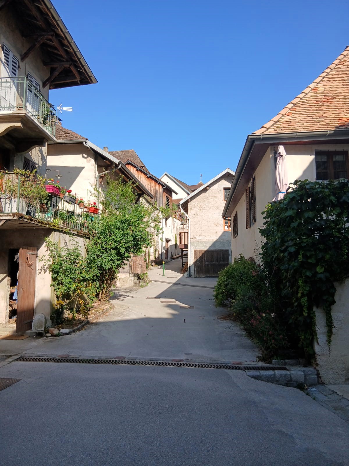Yenne 2026 mercredi 24/06/2026 (48)